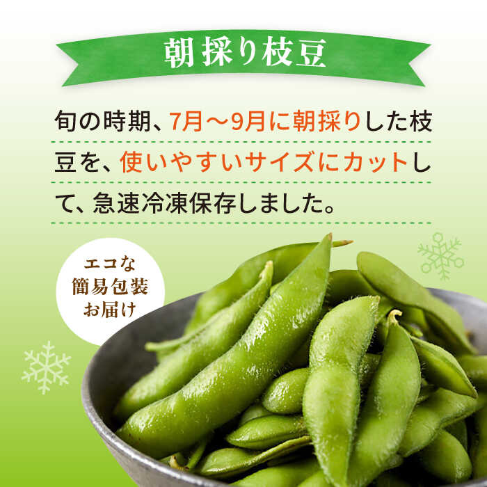 【ふるさと納税】枝豆 500g 冷凍 旬の時期に急速冷凍 【福岡県糸島産】 糸島市 / オーガニックナガミツファーム 野菜 えだまめ [AGE042] 12000円 1万2千円 - 画像2
