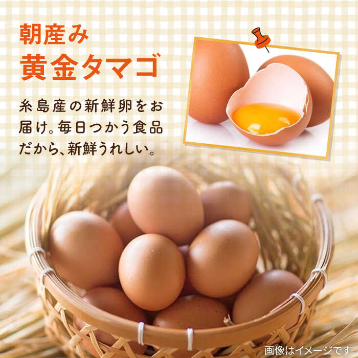 【ふるさと納税】【全6回定期便】糸島の朝産み黄金タマゴ10個 朝どれ新鮮野菜5品 セット【福岡県糸島産】 糸島市 / オーガニックナガミツファーム 玉子 やさい [AGE048] 89000円 8万9千円 - 画像3
