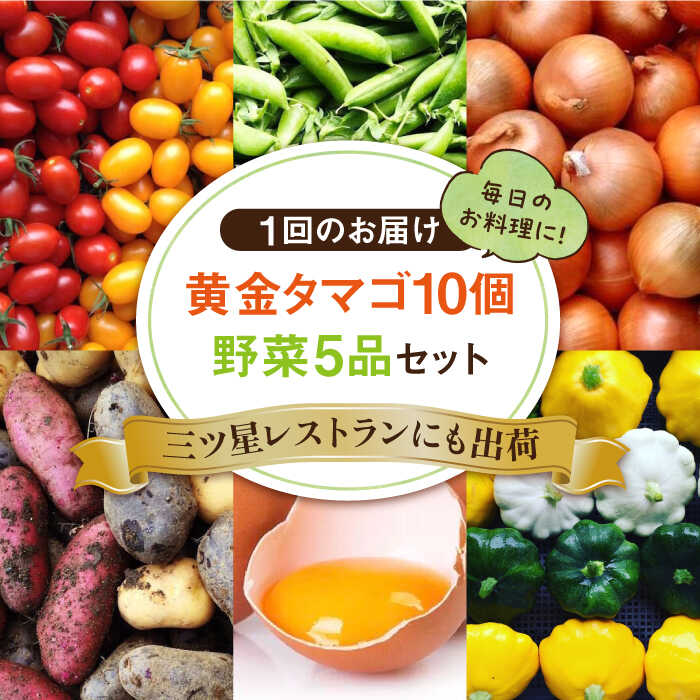 【ふるさと納税】【全12回定期便】糸島の朝産み黄金タマゴ10個 朝どれ新鮮野菜5品 セット【福岡県糸島産】 糸島市 / オーガニックナガミツファーム 玉子 やさい [AGE049] 178000円 17万8千円 - 画像2