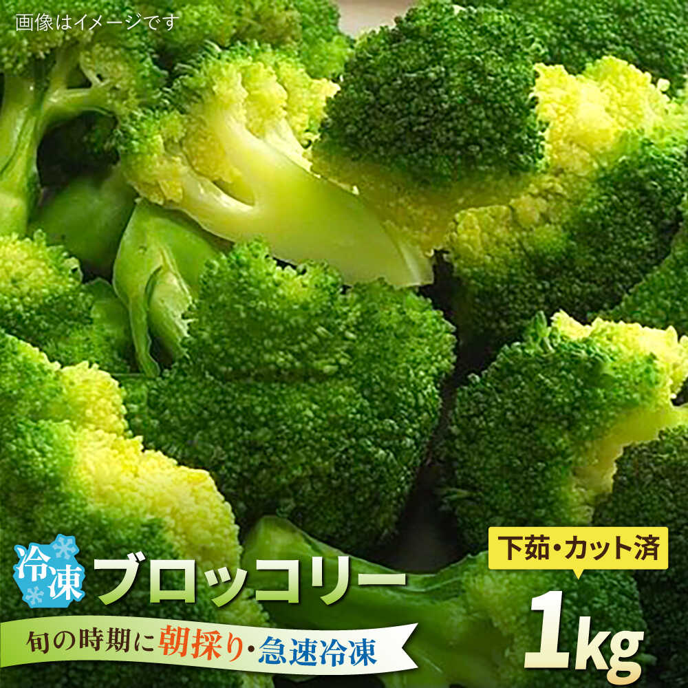 ブロッコリー 1kg 冷凍 旬の時期に急速冷凍 【福岡県糸島産】 糸島市 / オーガニックナガミツファーム 野菜[AGE053] 21000円 2万1千円