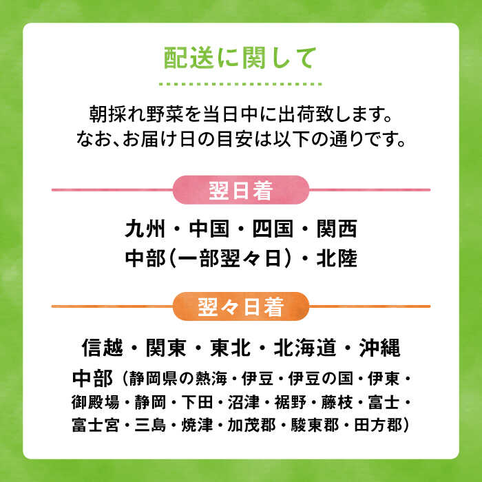 【ふるさと納税】【全12回定期便】【福岡県糸島産】朝採れ 野菜 セット (8品前後) 《糸島》【オーガニックナガミツファーム】[AGE012] 137000円 13万7千円 - 画像3