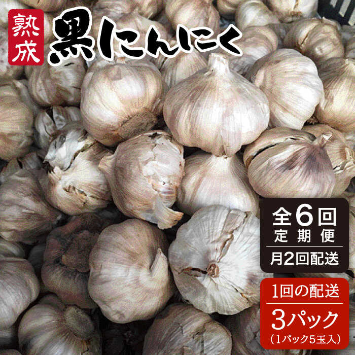 全6回定期便 熟成黒にんにく15玉(1パック5玉×3パック)×6回配送(月2回×3か月間) シーブ [AHC002] 常温 100000円 10万円