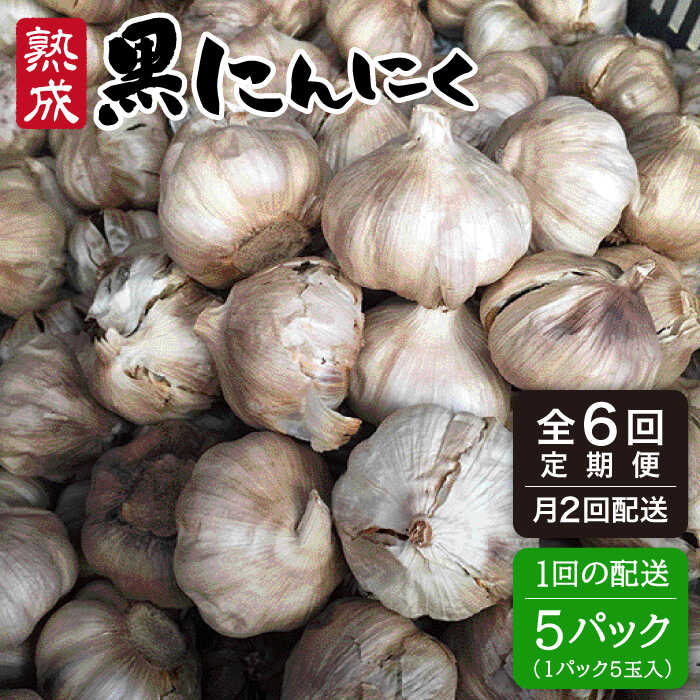 全6回定期便 熟成黒にんにく25玉(1パック5玉×5パック)×6回配送(月2回×3か月間) シーブ [AHC004] 常温 200000円 20万円
