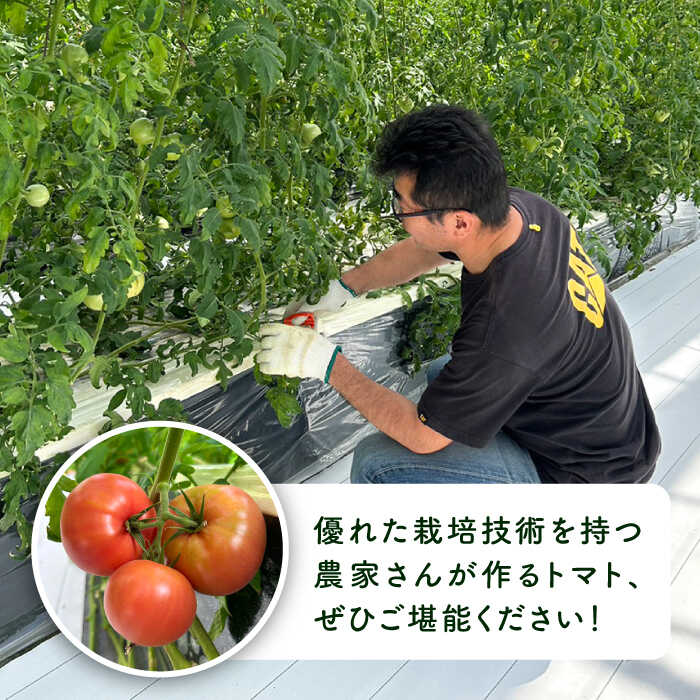 【ふるさと納税】期間限定 旬野菜 糸島産 絶品トマト かれん (4kg28玉前後) 糸島市 / シーブ[AHC019] 常温 21000円 2万1千円 - 画像3