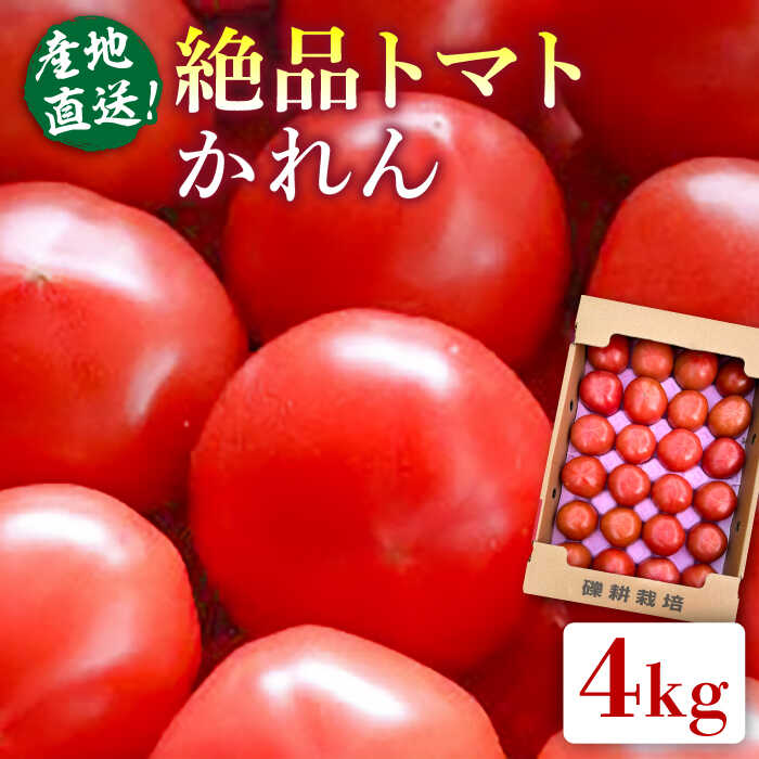 期間限定 旬野菜 糸島産 絶品トマト かれん (4kg28玉前後) 糸島市 / シーブ[AHC019] 常温 21000円 2万1千円