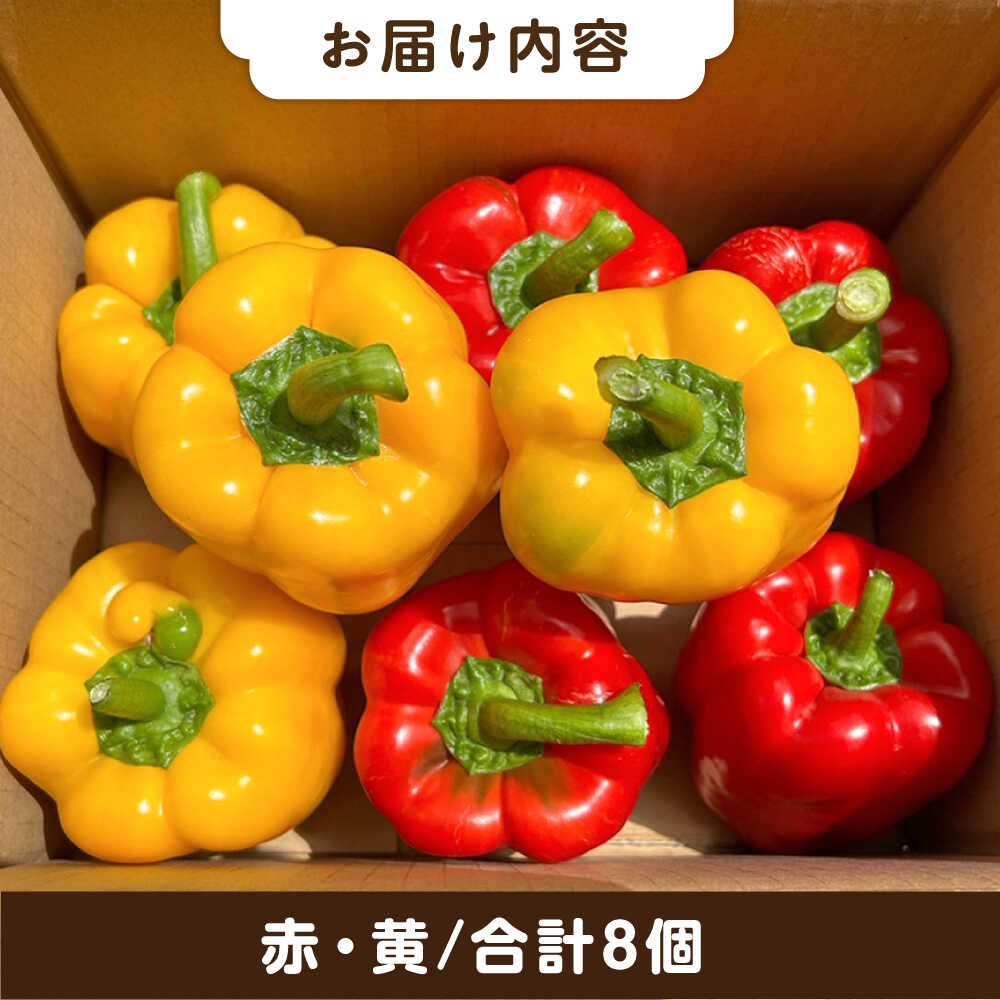 【ふるさと納税】肉厚 パプリカ 8個 福岡県 糸島産 シーブ 糸島市 [AHC031] 野菜 ピーマン 18000円 1万8千円 - 画像2