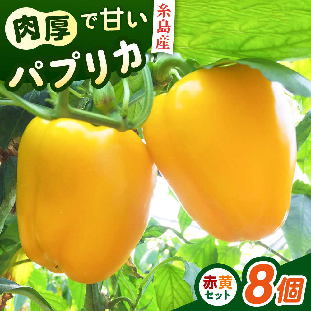 肉厚 パプリカ 8個 福岡県 糸島産 シーブ 糸島市 [AHC031] 野菜 ピーマン 18000円 1万8千円