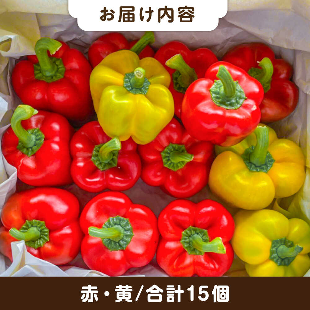 【ふるさと納税】肉厚 パプリカ 15個 福岡県 糸島産 シーブ 糸島市 [AHC032] 野菜 ピーマン 28000円 2万8千円 - 画像2