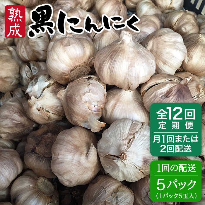 【選べる発送時期】【全12回定期便】熟成 黒にんにく 25玉（1パック5玉×5パック）《糸島》【シーブ】 [AHC040] 常温