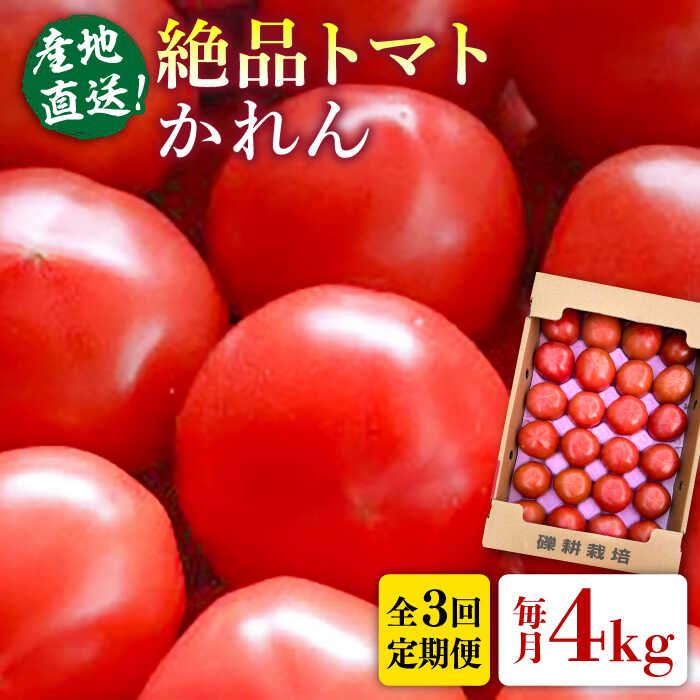 【全3回定期便】期間限定 旬野菜 糸島産 絶品トマト かれん (4kg28玉前後) 糸島市 / シーブ 野菜 とまと[AHC066] 常温 61000円 6万1千円
