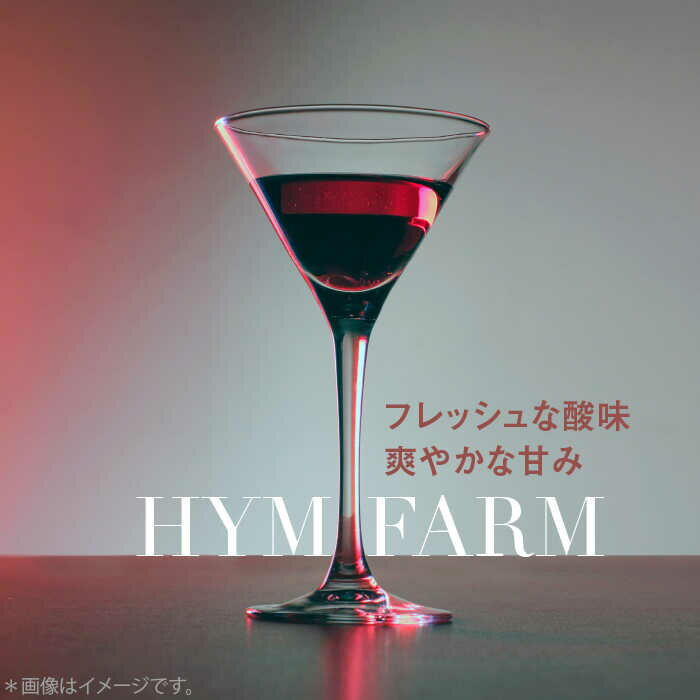 【ふるさと納税】糸島産 ブルーベリー ＆ ブラックベリー ワイン 720ml×2種 セット 糸島市 / HYM FARM [AHM001] 17000円 1万7千円 サムネイル2