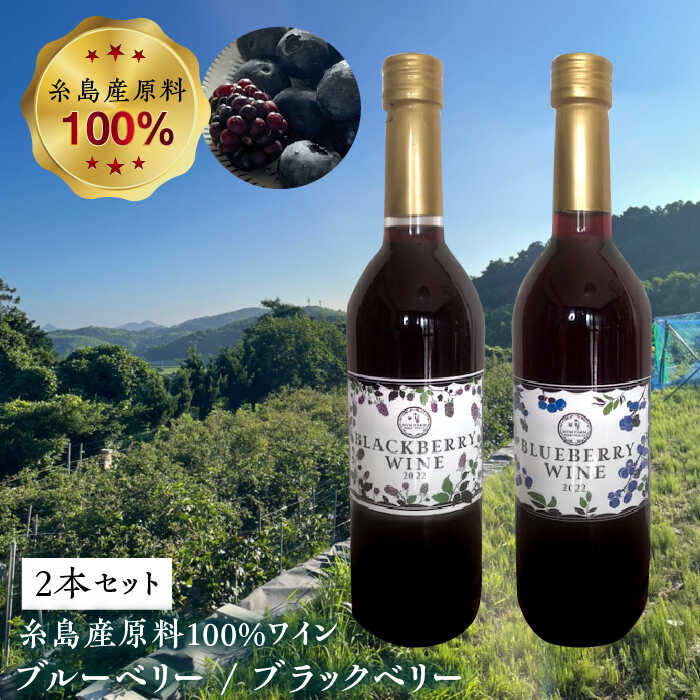 糸島産 ブルーベリー ＆ ブラックベリー ワイン 720ml×2種 セット 糸島市 / HYM FARM [AHM001] 17000円 1万7千円