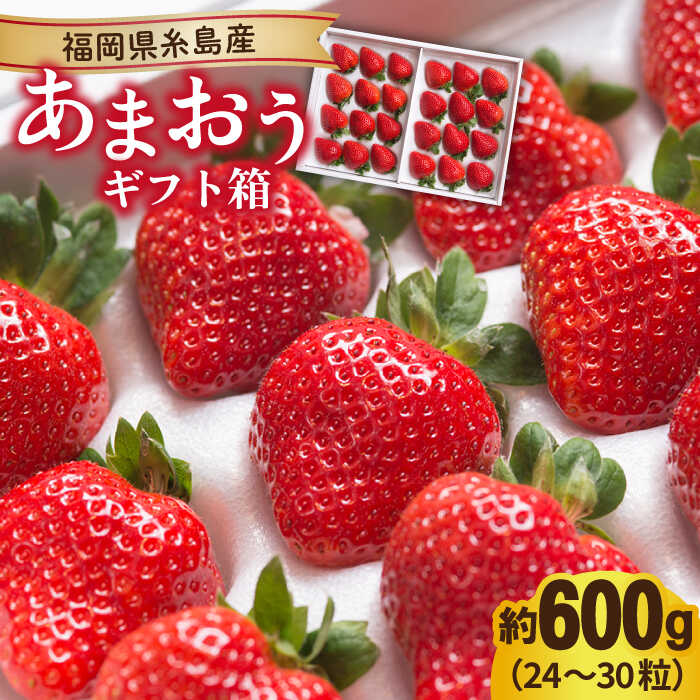 【先行予約】糸島産 あまおう ギフト 箱 ( 24-30粒 ) 【2025年12月上旬以降順次発送】糸島市 / 南国フルーツ株式会社 [AIK011] 17000円 1万7千円