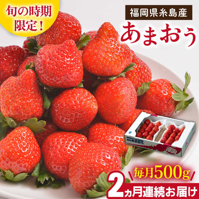 【先行予約】【全2回定期便】糸島産【冬】あまおう 2パック 毎月500g 【2025年12月上旬以降順次発送】糸島市 / 南国フルーツ株式会社 [AIK025] 24000円 2万4千円
