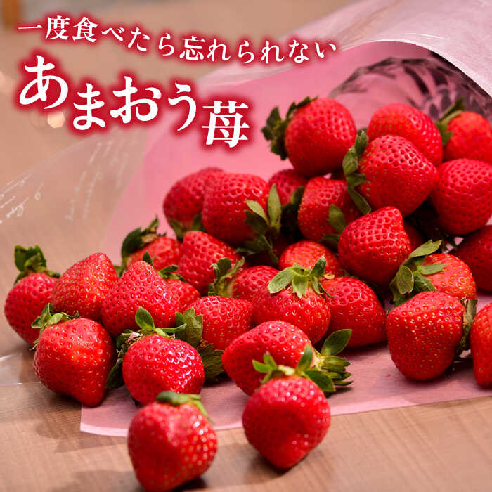 【ふるさと納税】【先行予約】【全2回定期便】糸島産【春】あまおう 4パック 毎月1kg 【2026年2月より順次発送】糸島市 / 南国フルーツ株式会社 [AIK026] 先行予約 24000円 2万4千円 サムネイル2