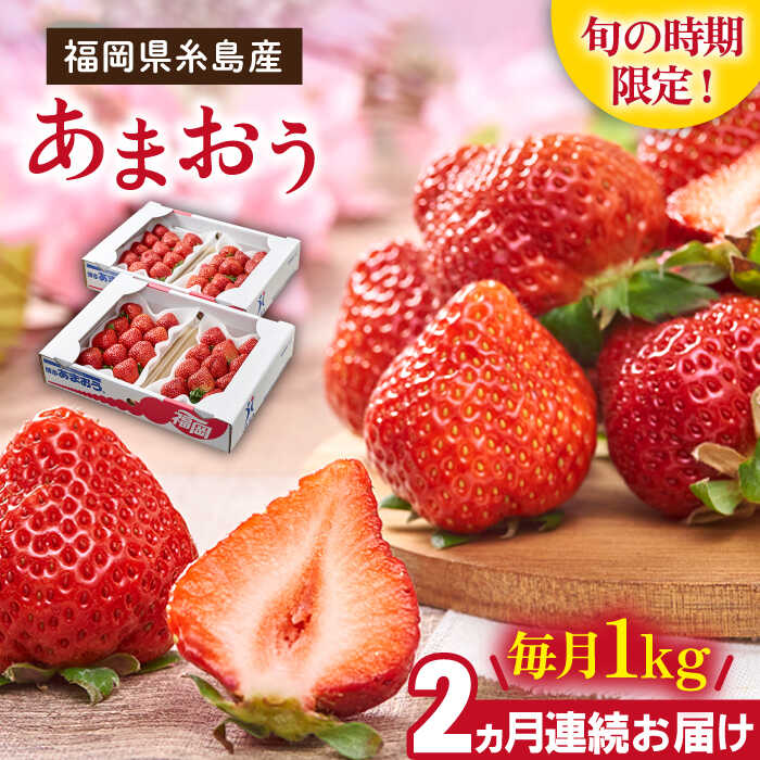 【先行予約】【全2回定期便】糸島産【春】あまおう 4パック 毎月1kg 【2026年2月より順次発送】糸島市 / 南国フルーツ株式会社 [AIK026] 先行予約 24000円 2万4千円