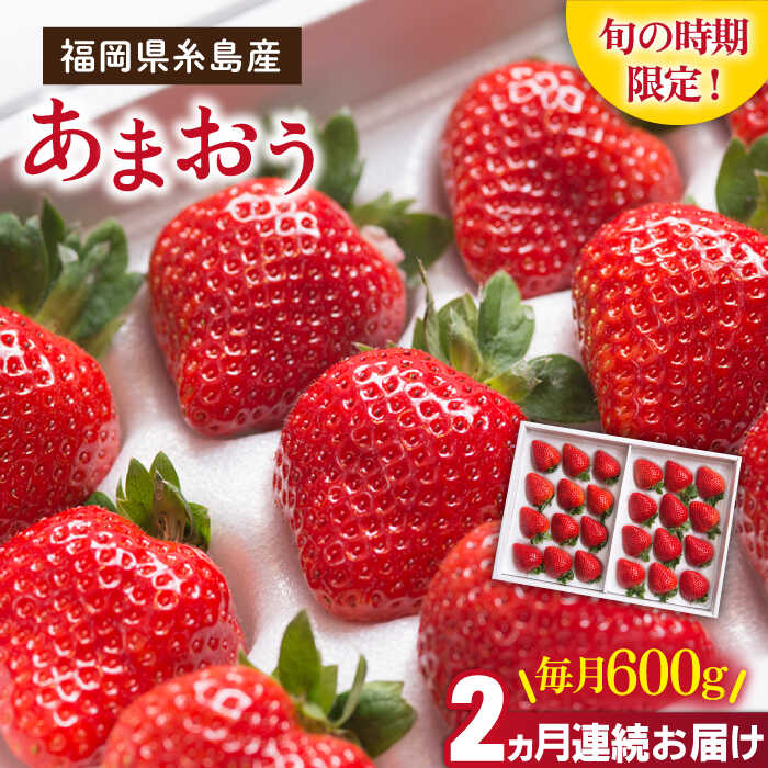 【先行予約】【全2回定期便】糸島産 あまおう ギフト 箱 毎月 600g (24-30粒) 【2026年1月より順次発送】糸島市 / 南国フルーツ株式会社 [AIK028] 先行予約 33000円 3万3千円