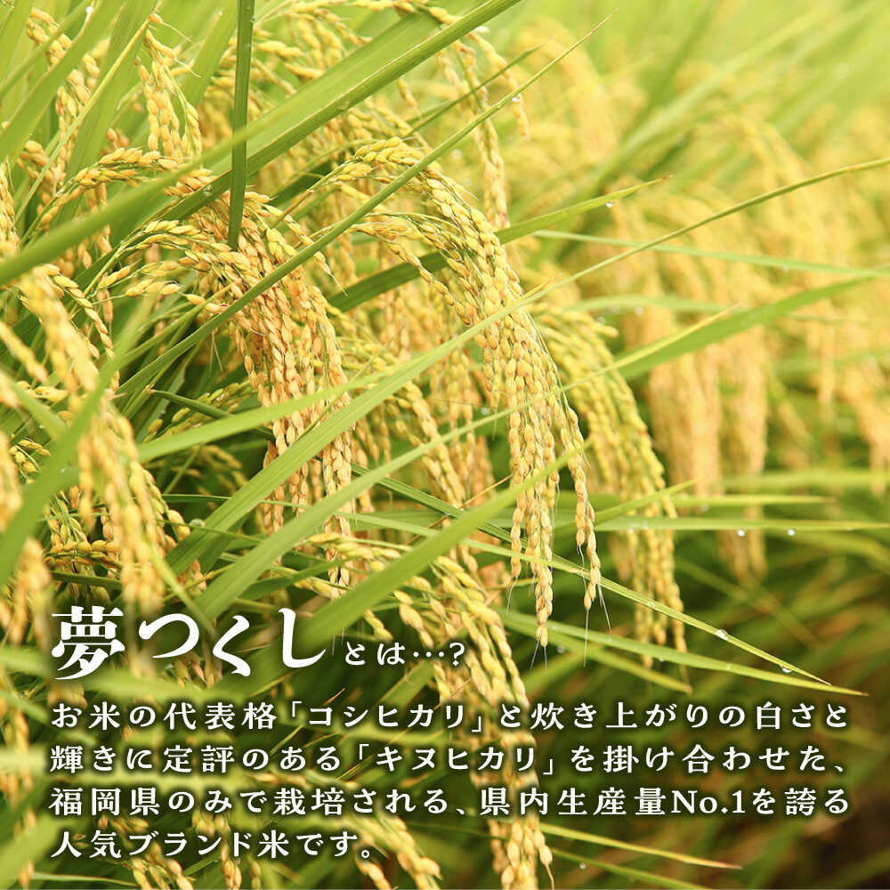 【ふるさと納税】 糸島産 夢つくし 5kg/10kg/20kg 選べるキロ数とお届け回数 糸島市 / 三島商店 [AIM001] 白米 定期便1万3千円13000円 - 画像2