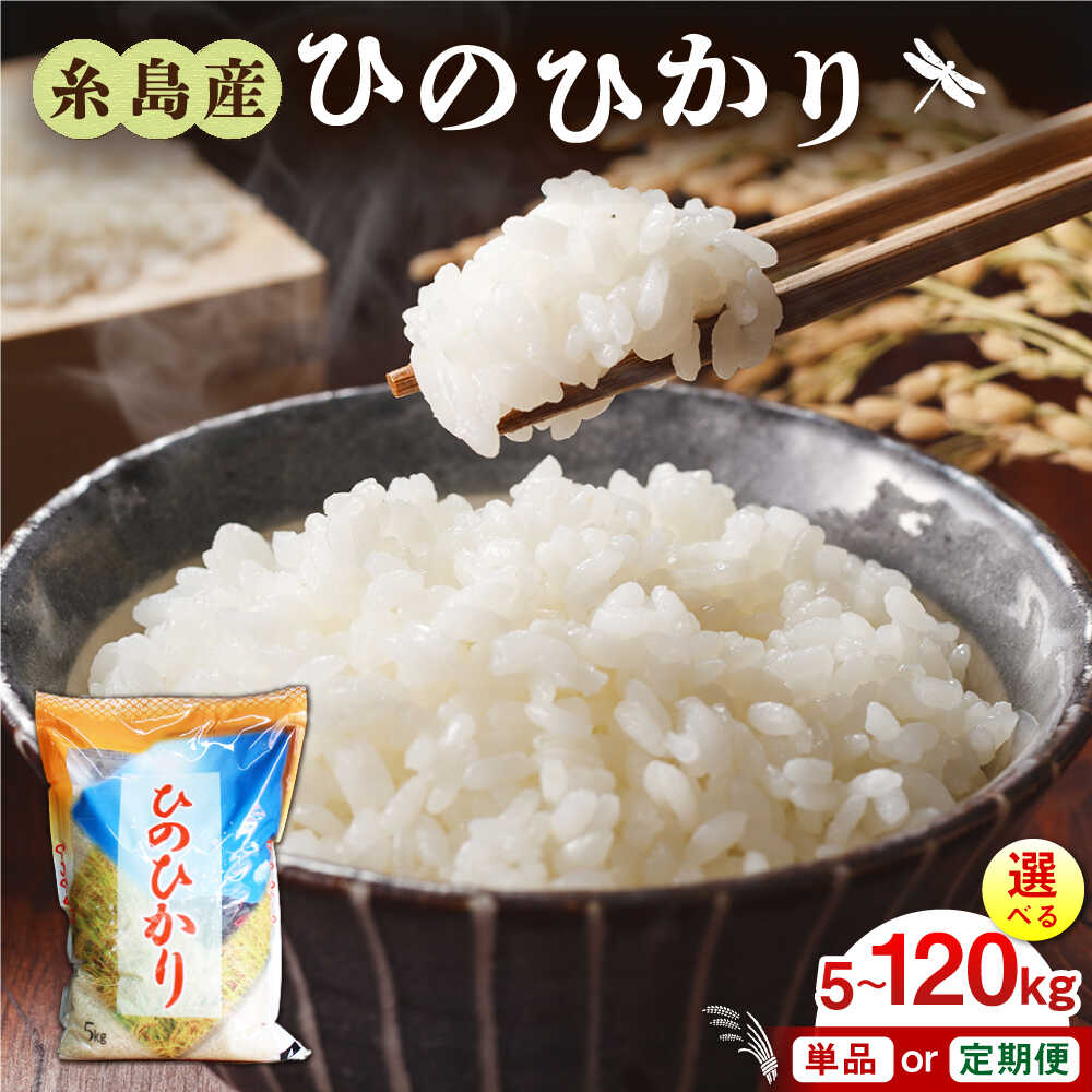 糸島産 ひのひかり 5kg/10kg/20kg 選べるキロ数とお届け回数 糸島市 / 三島商店 [AIM004] 白米 定期便 1万4千円 14000円