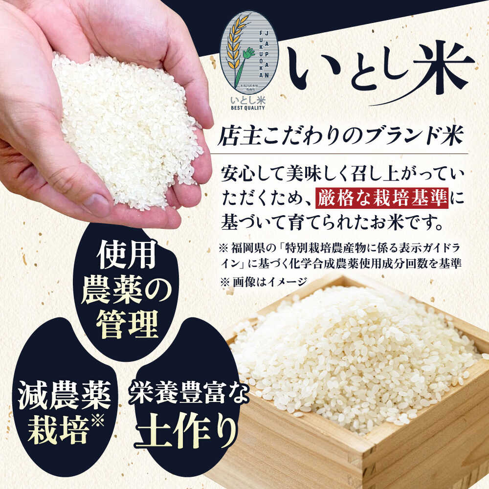 【ふるさと納税】いとし米 厳選夢つくし 2kg/5kg/10kg/20kg 選べるキロ数とお届け回数 糸島市 / 三島商店[AIM044] 米 白米 定期便 常温 9000円 9千円 - 画像3