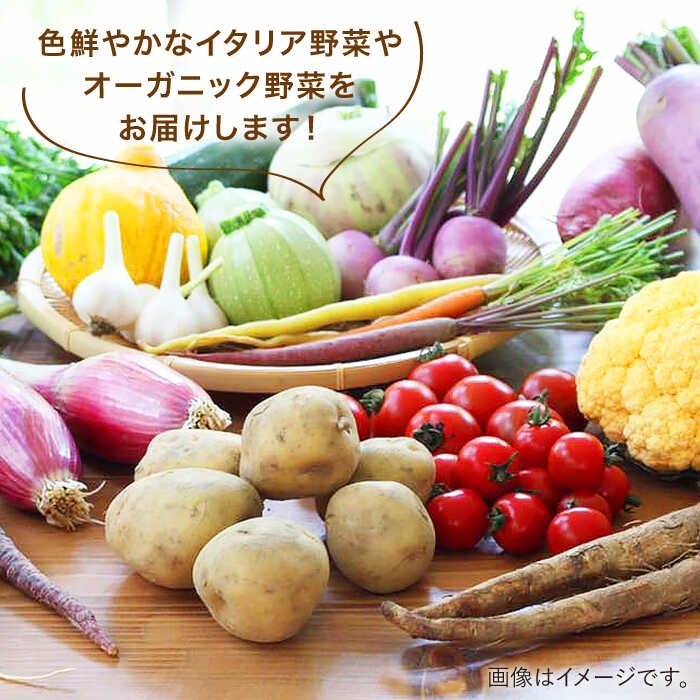 【ふるさと納税】【全6回定期便】旬を味わう『糸島野菜セット』年6回お届けコース 10〜14種（計14パック） イタリア野菜 オーガニック 野菜ソムリエ松永 vegeLabo [AJB002] 100000円 10万円 - 画像2