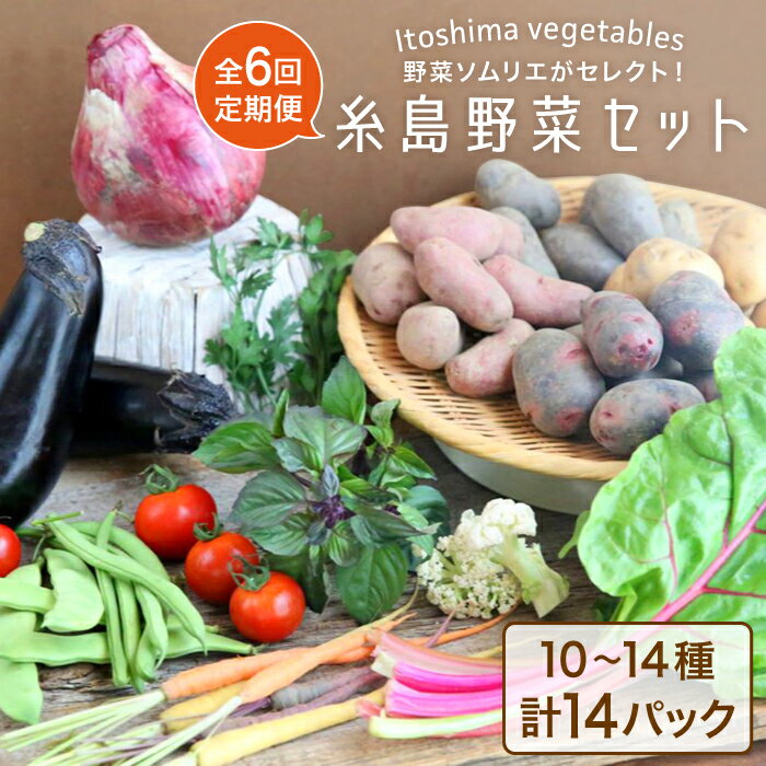 【全6回定期便】旬を味わう『糸島野菜セット』年6回お届けコース 10〜14種（計14パック） イタリア野菜 オーガニック 野菜ソムリエ松永 vegeLabo [AJB002] 100000円 10万円