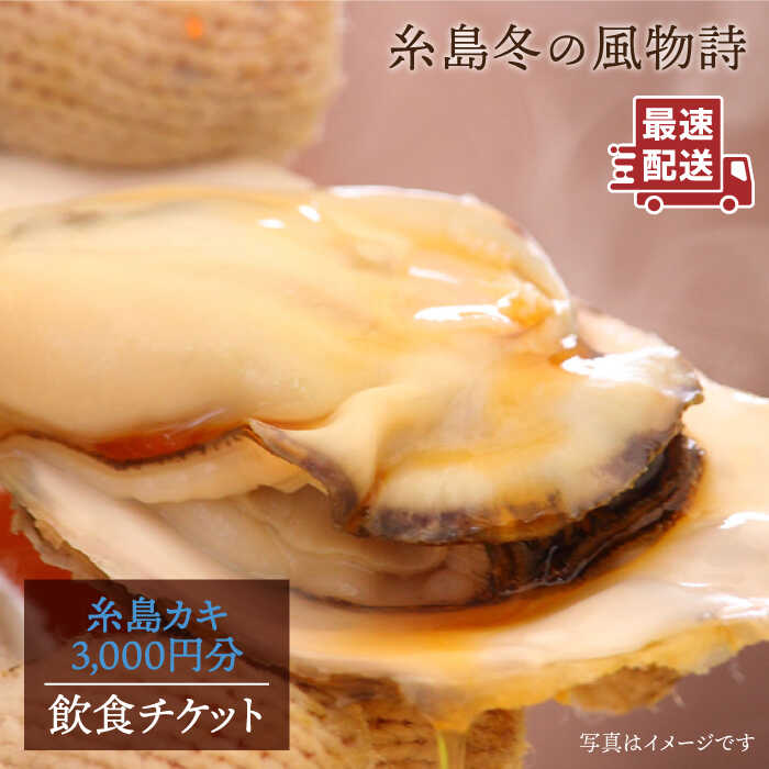糸島カキ 3,000円分 飲食チケット《糸島》【飲食チケット】冬の風物詩 牡蠣小屋[AKD002] 10000円 1万円