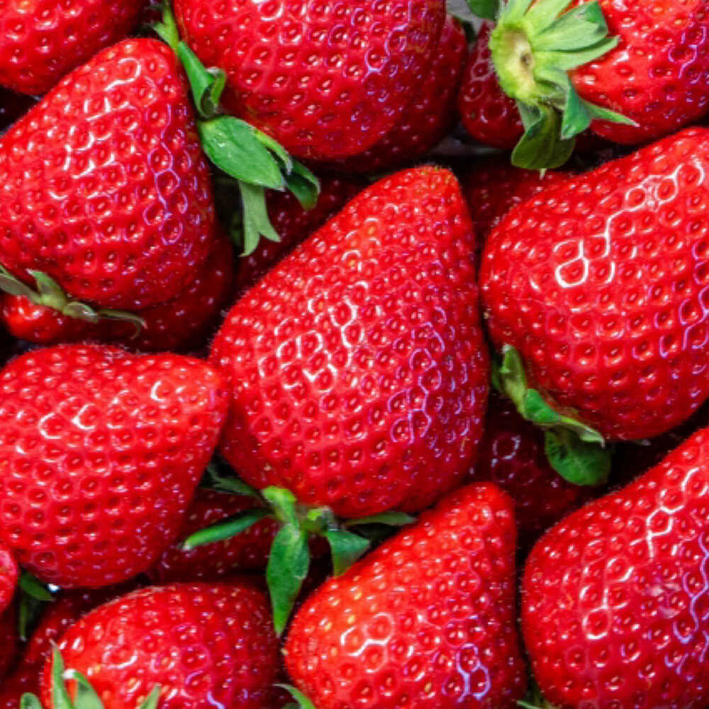 【ふるさと納税】【全3回定期便】福岡県 糸島市産 完熟 あまおう いちご （約270g×6パック） 【2026年4月以降順次発送】 糸島市 / mhshops / 苺 イチゴ[AKQ006] フルーツ 果物 冷蔵 65000円 6万5千円 サムネイル2