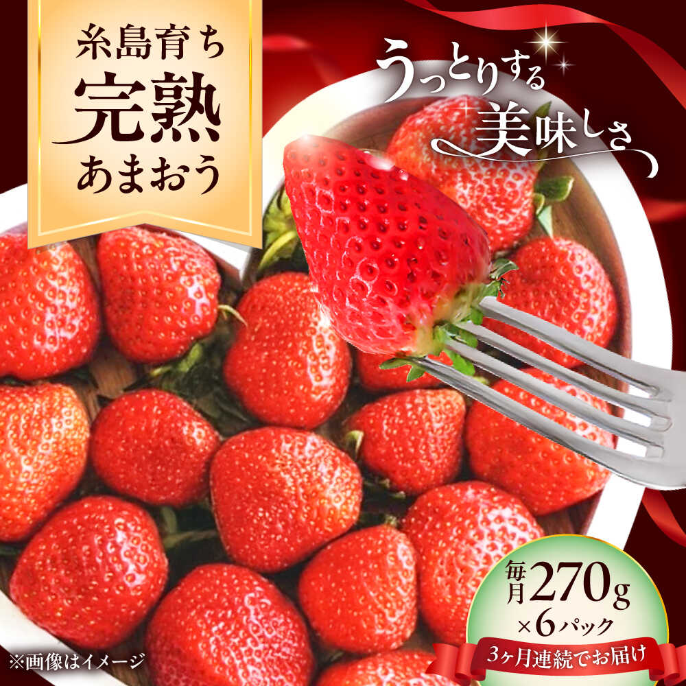 【全3回定期便】福岡県 糸島市産 完熟 あまおう いちご （約270g×6パック） 【2026年4月以降順次発送】 糸島市 / mhshops / 苺 イチゴ[AKQ006] フルーツ 果物 冷蔵 65000円 6万5千円