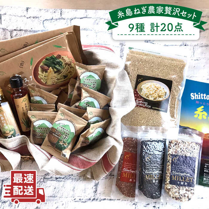 糸島ねぎ農家贅沢9種20点セット 糸島市 / 株式会社Carna [ALA020] 常温 45000円4万5千円