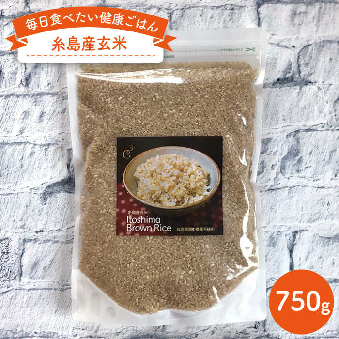 糸島産玄米750g 糸島市 / 株式会社Carna [ALA022] 常温 4000円4千円