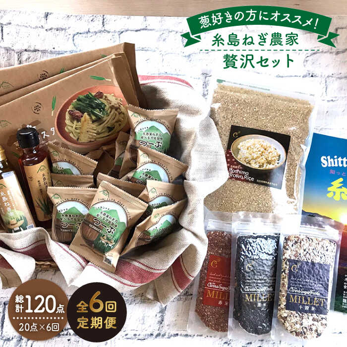 【全6回定期便】糸島ねぎ農家贅沢セット 糸島市 / 株式会社Carna [ALA039] 常温 200000円 20万円