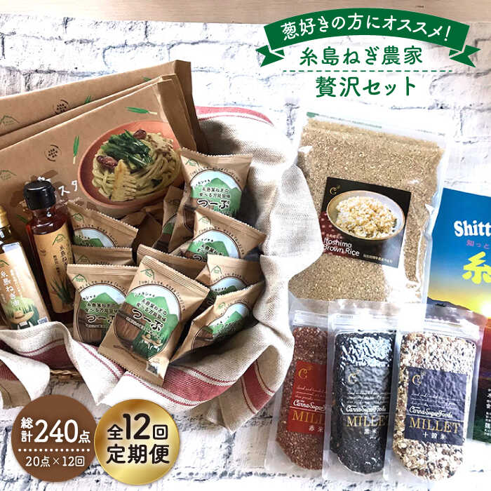 【全12回定期便】糸島ねぎ農家贅沢セット 糸島市 / 株式会社Carna [ALA040] 常温 500000円 50万円