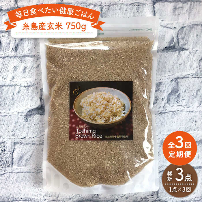 【全3回定期便】糸島産玄米 750g 糸島市 / 株式会社Carna [ALA044] 常温 12000円 1万2千円
