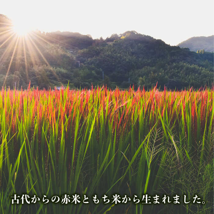 【ふるさと納税】十穀米 糸島市 / Carna 雑穀米 雑穀 [ALA055] 3000円 3千円 - 画像3