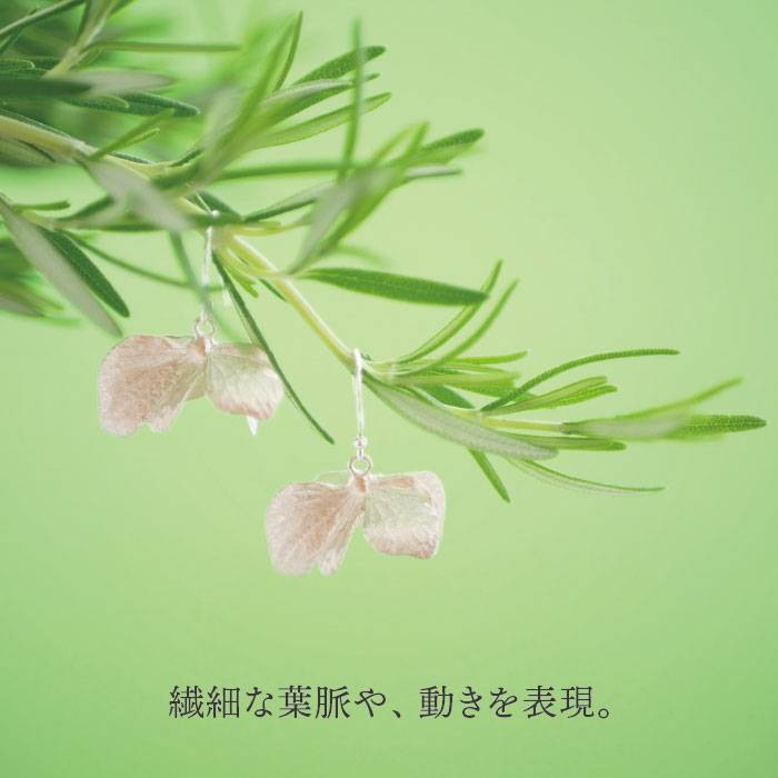 【ふるさと納税】植物をモチーフにしたピアス(立体)【Chloroplast/クロロプラスト】≪糸島市≫ [ALF003] 93000円 9万3千円 サムネイル2