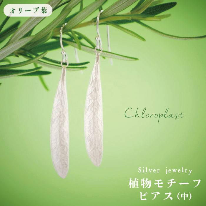 植物モチーフ オリーブ葉ピアス(中) /Chloroplast/クロロプラスト/ジュエリー[ALF004]≪糸島市≫ 49000円 4万9千円