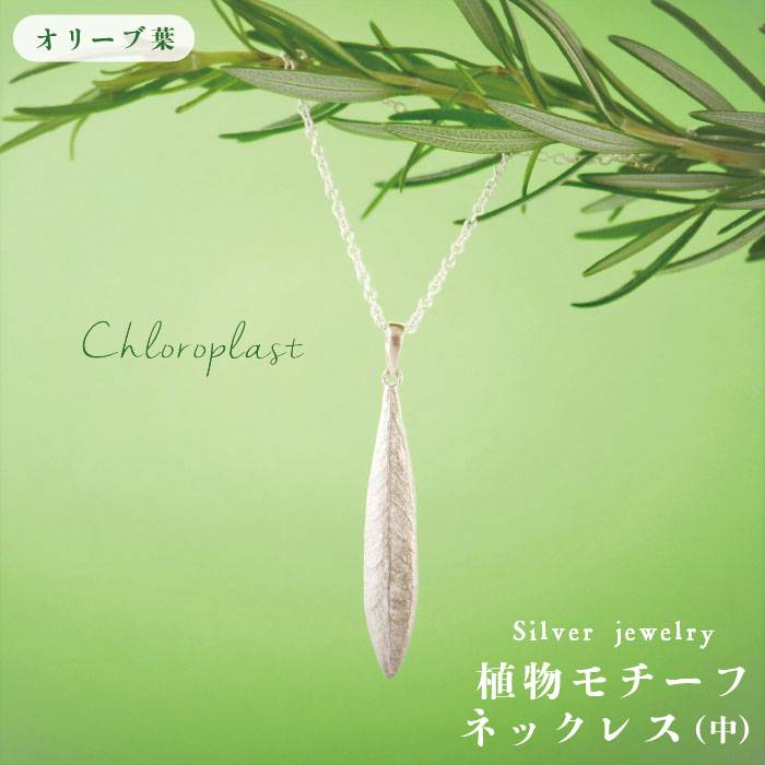 植物モチーフ オリーブ葉ネックレス(中)/Chloroplast/クロロプラスト/ジュエリー ≪糸島市≫[ALF005] 49000円 4万9千円