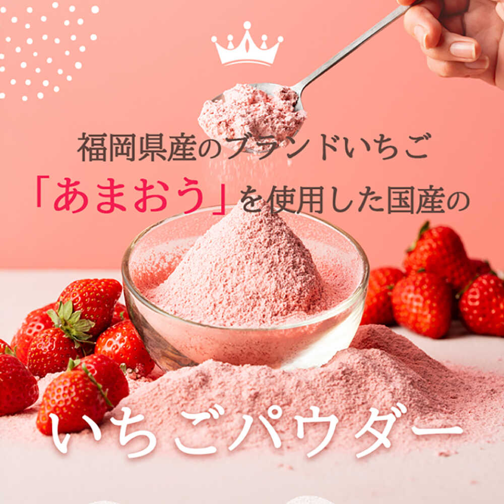 【ふるさと納税】福岡県産あまおうパウダー 100g 糸島市 / 株式会社フルコンス いちご 粉末 製菓 [ALO002] 常温 14000円 1万4千円 サムネイル2