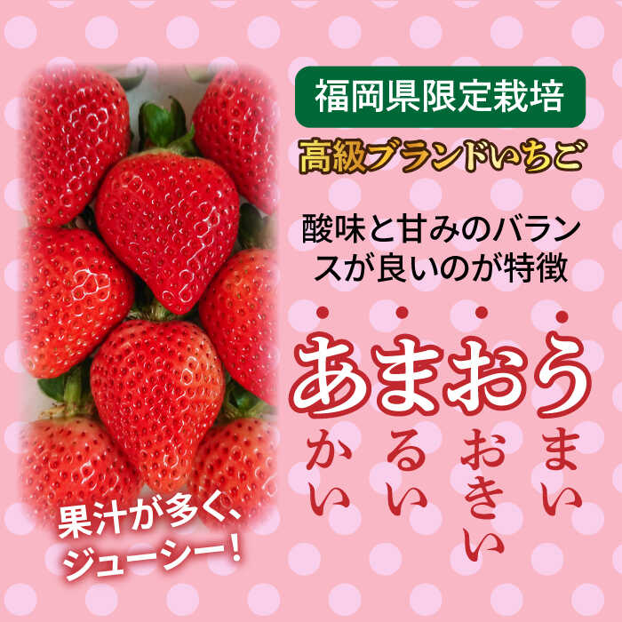 【ふるさと納税】【先行予約】(農家直送！) 糸島産 あまおう 280g×2パック (DXまたはGサイズ) 【2025年12月以降順次発送】糸島市 / 後藤農園 [AML001] いちご イチゴ 苺 ギフト 11000円 1万1千円 サムネイル2