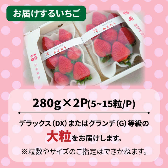 【ふるさと納税】【先行予約】(農家直送！) 糸島産 あまおう 280g×2パック (DXまたはGサイズ) 【2025年12月以降順次発送】糸島市 / 後藤農園 [AML001] いちご イチゴ 苺 ギフト 11000円 1万1千円 サムネイル3