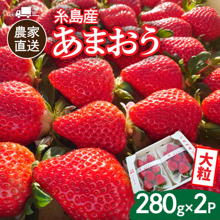 【先行予約】(農家直送！) 糸島産 あまおう 280g×2パック (DXまたはGサイズ) 【2025年12月以降順次発送】糸島市 / 後藤農園 [AML001] いちご イチゴ 苺 11000円 ギフト