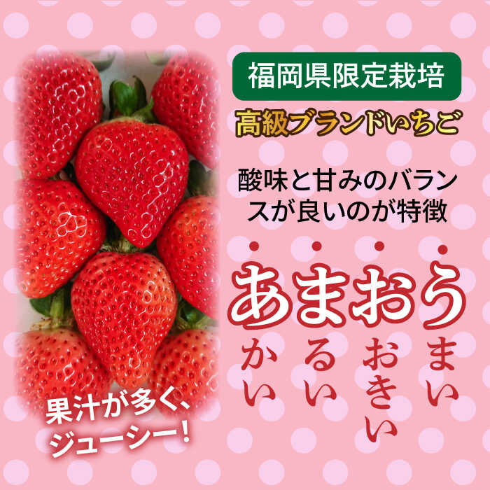 【ふるさと納税】【先行予約】(農家直送！) 糸島産 あまおう 280g × 4パック (Sサイズ〜Gサイズ) 【2026年1月下旬以降順次発送】　糸島市 / 後藤農園 [AML003] いちご イチゴ 苺 12000円 ギフト サムネイル2