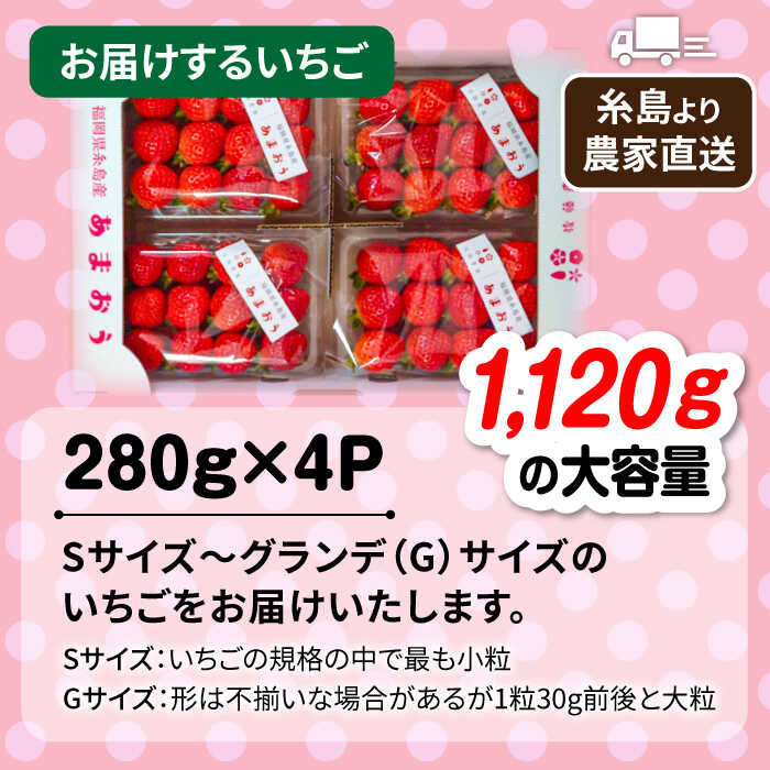 【ふるさと納税】【先行予約】(農家直送！) 糸島産 あまおう 280g × 4パック (Sサイズ〜Gサイズ) 【2026年1月下旬以降順次発送】　糸島市 / 後藤農園 [AML003] いちご イチゴ 苺 12000円 ギフト サムネイル3