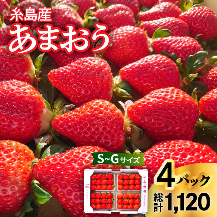 【先行予約】(農家直送！) 糸島産 あまおう 280g × 4パック (Sサイズ〜Gサイズ) 【2026年1月下旬以降順次発送】　糸島市 / 後藤農園 [AML003] いちご イチゴ 苺 12000円 ギフト