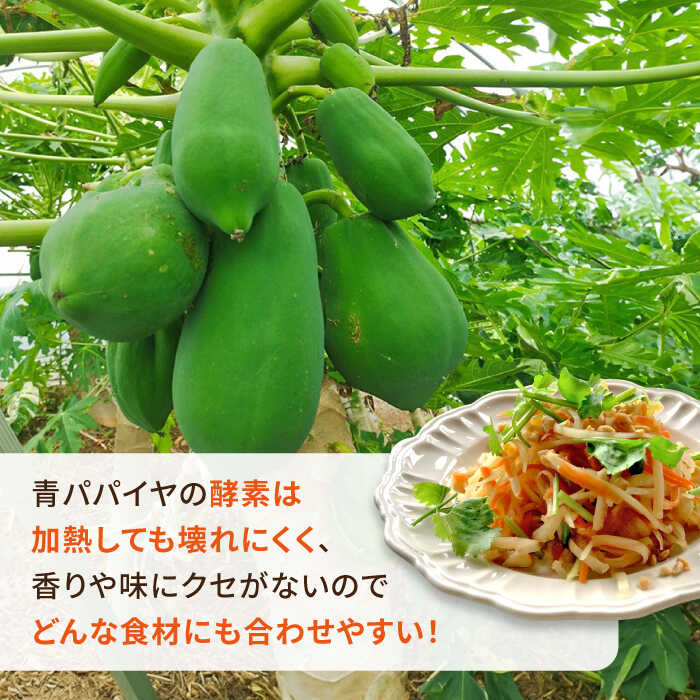 【ふるさと納税】糸島産 青パパイヤ 約5kg 糸島市 / 食と健康のブリッジベース[ANN001] 野菜 タイ料理 沖縄料理 18000円 1万8千円 - 画像3