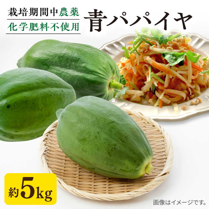 糸島産 青パパイヤ 約5kg 糸島市 / 食と健康のブリッジベース[ANN001] 野菜 タイ料理 沖縄料理 18000円 1万8千円