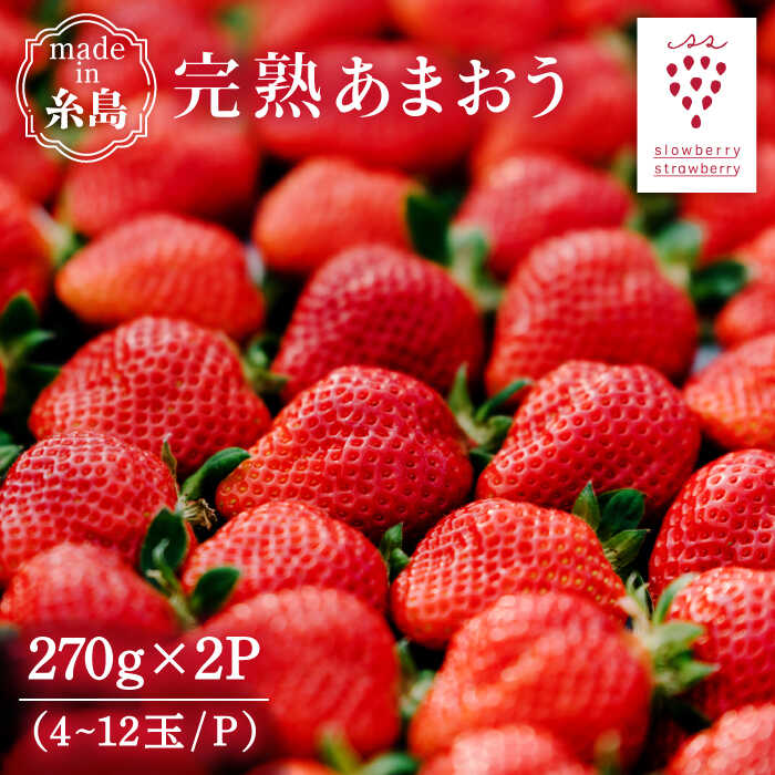 【先行受付】完熟あまおう 270g × 2パック 【2026年1月より順次発送】 糸島市 / slowberry strawberry [APJ002] 11000円 常温