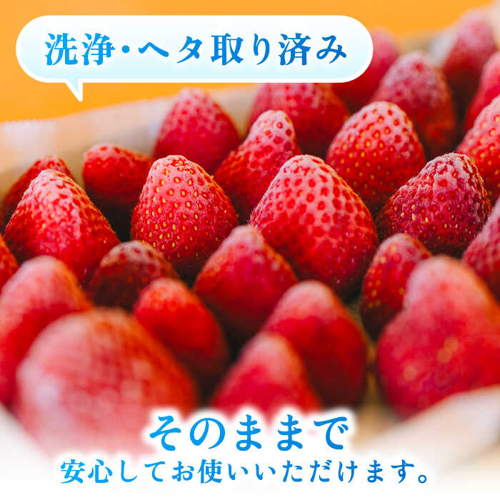 【ふるさと納税】【先行受付】完熟 冷凍 あまおう 1kg 【2026年3月中旬より順次発送】 糸島市 / slowberry strawberry[APJ006] 冷凍いちご 苺 10000円 1万円 サムネイル3