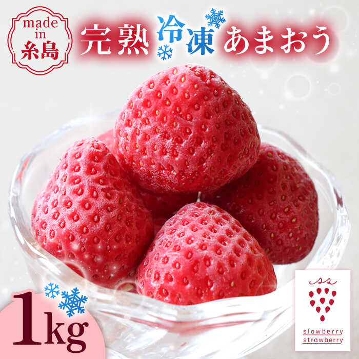 【先行受付】完熟 冷凍 あまおう 1kg 【2026年3月中旬より順次発送】 糸島市 / slowberry strawberry[APJ006] 冷凍いちご 苺 10000円 1万円